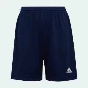 Adidas Junior Entrada 22 Football Shorts