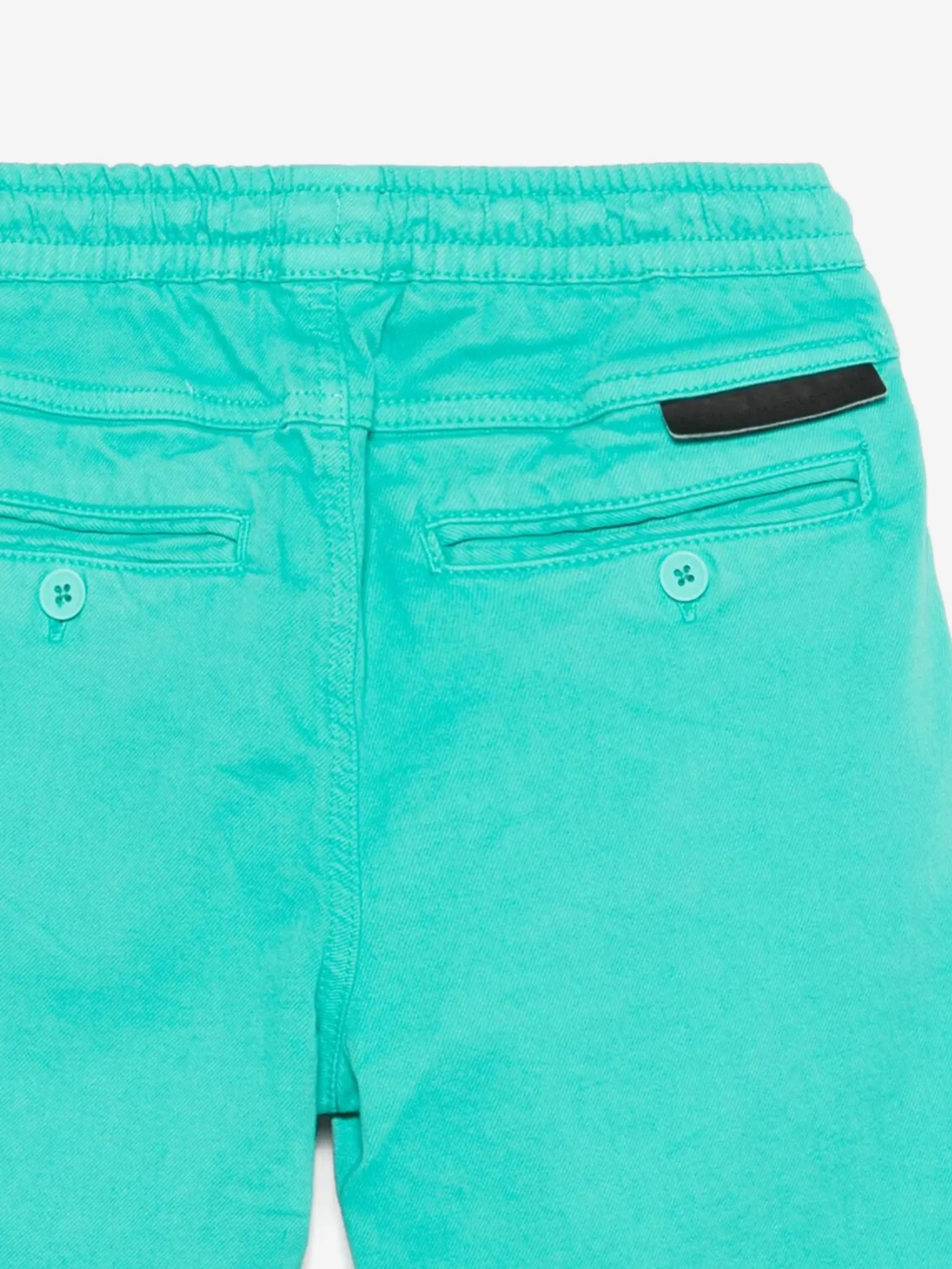 Boys Logo Shorts in Green