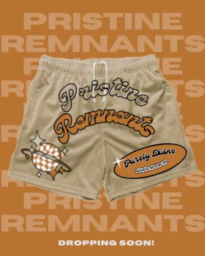 Brown Mesh Shorts