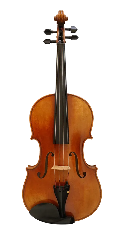 Cadenza Viola 15"