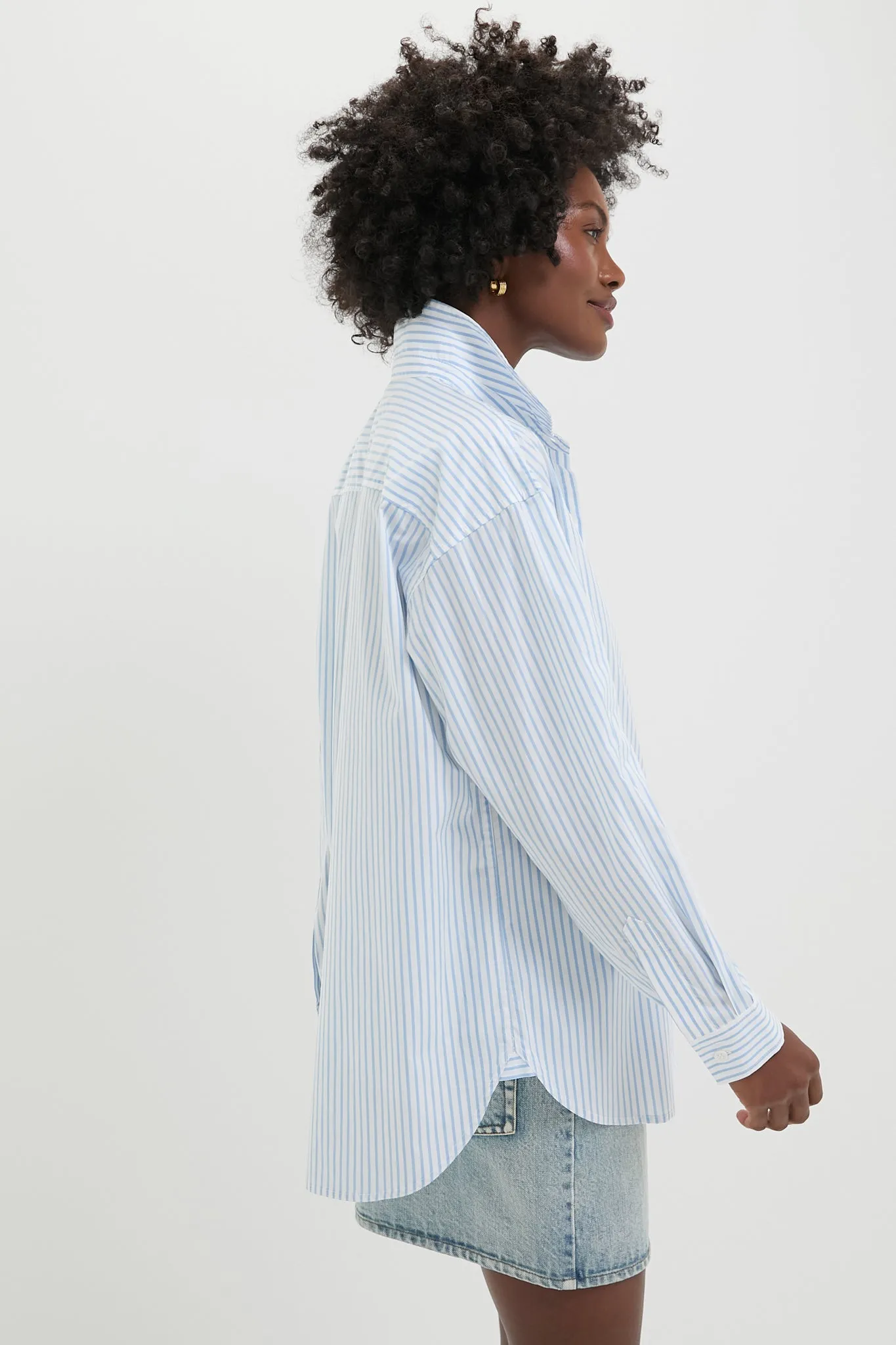 Chambray and White Stripe Wexler Button Down