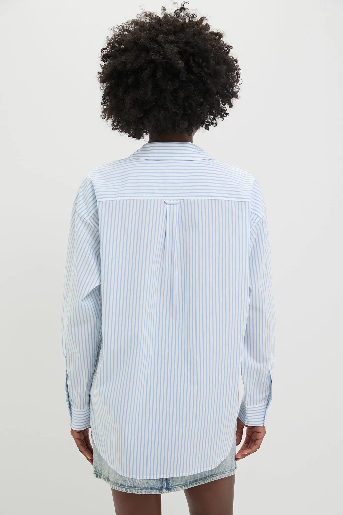 Chambray and White Stripe Wexler Button Down
