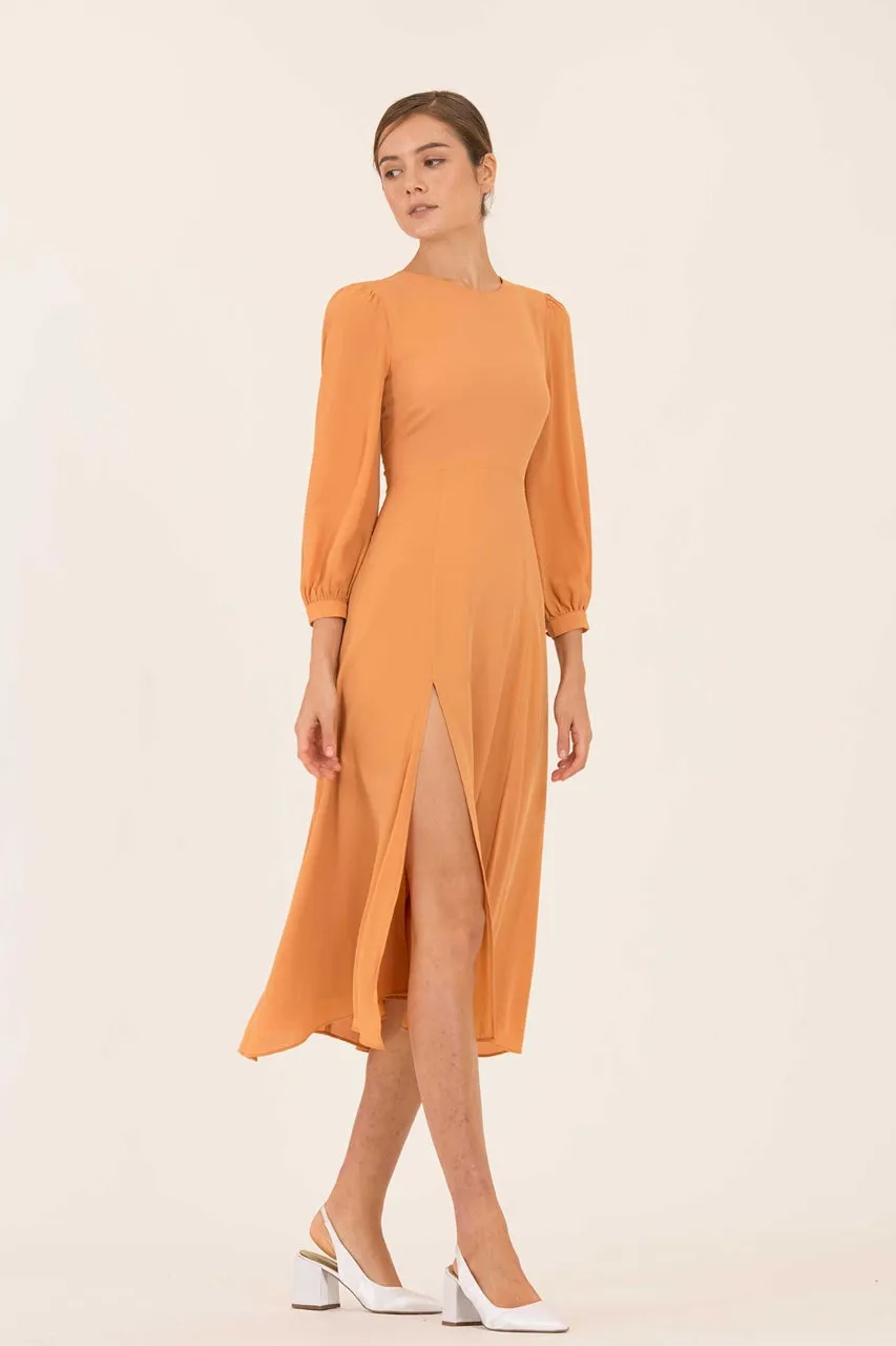 Dojuriew (Light Orange)