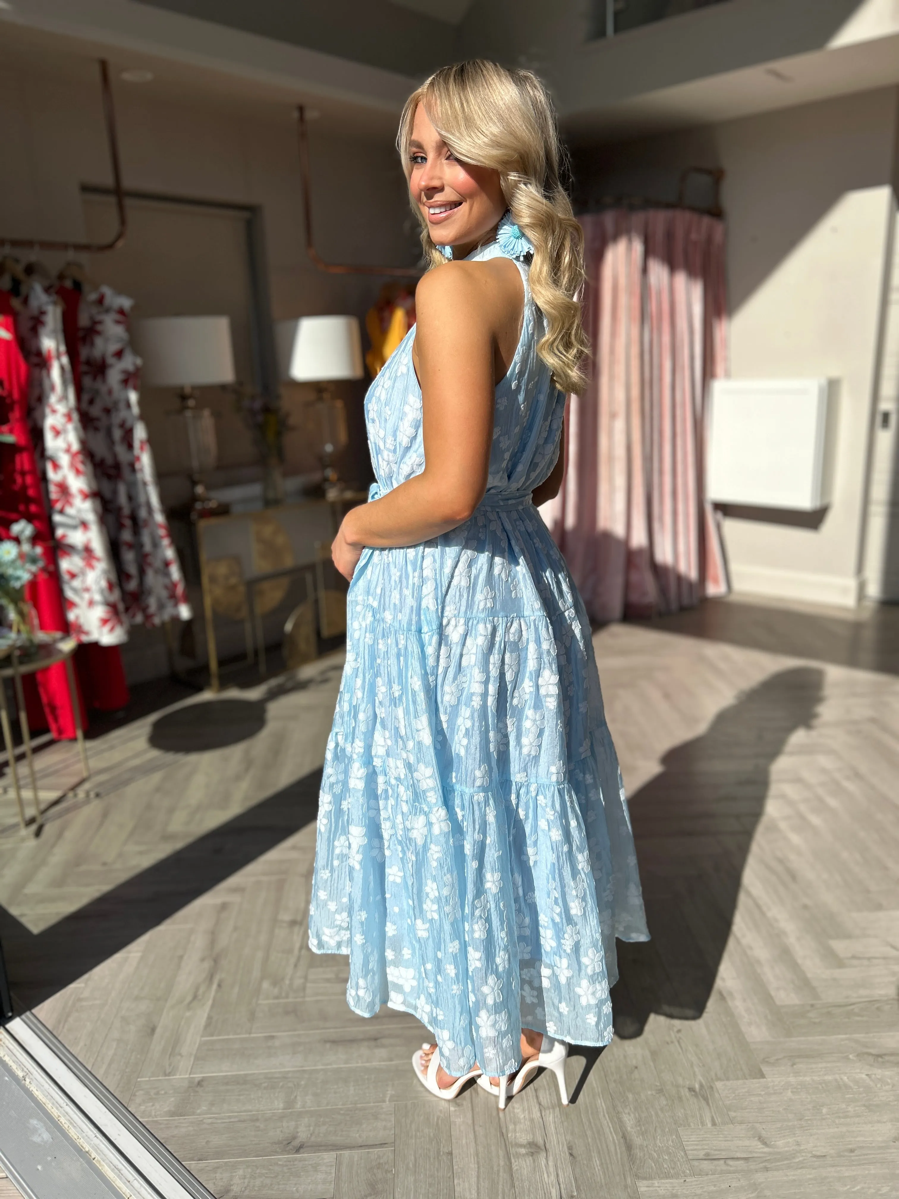 Emily Blue Dress