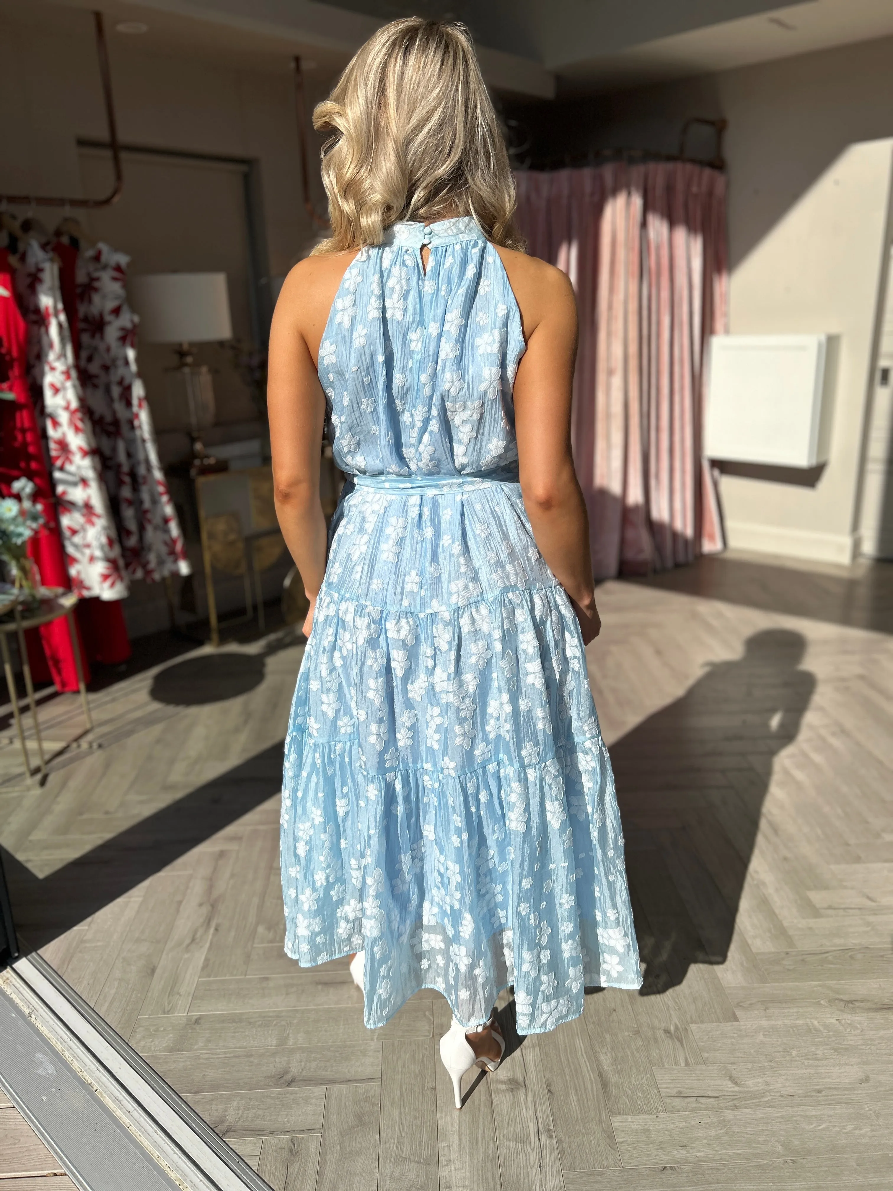 Emily Blue Dress