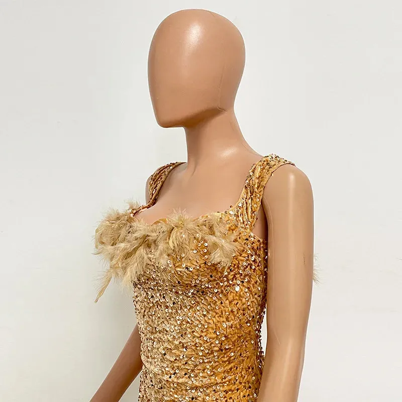 Evening Dress Lady
