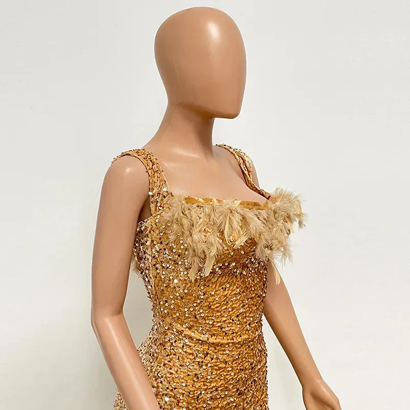 Evening Dress Lady
