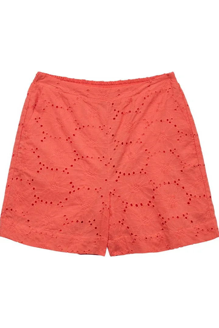 Hay New Shorts