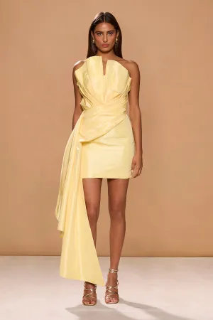 JACQUES MINI DRESS