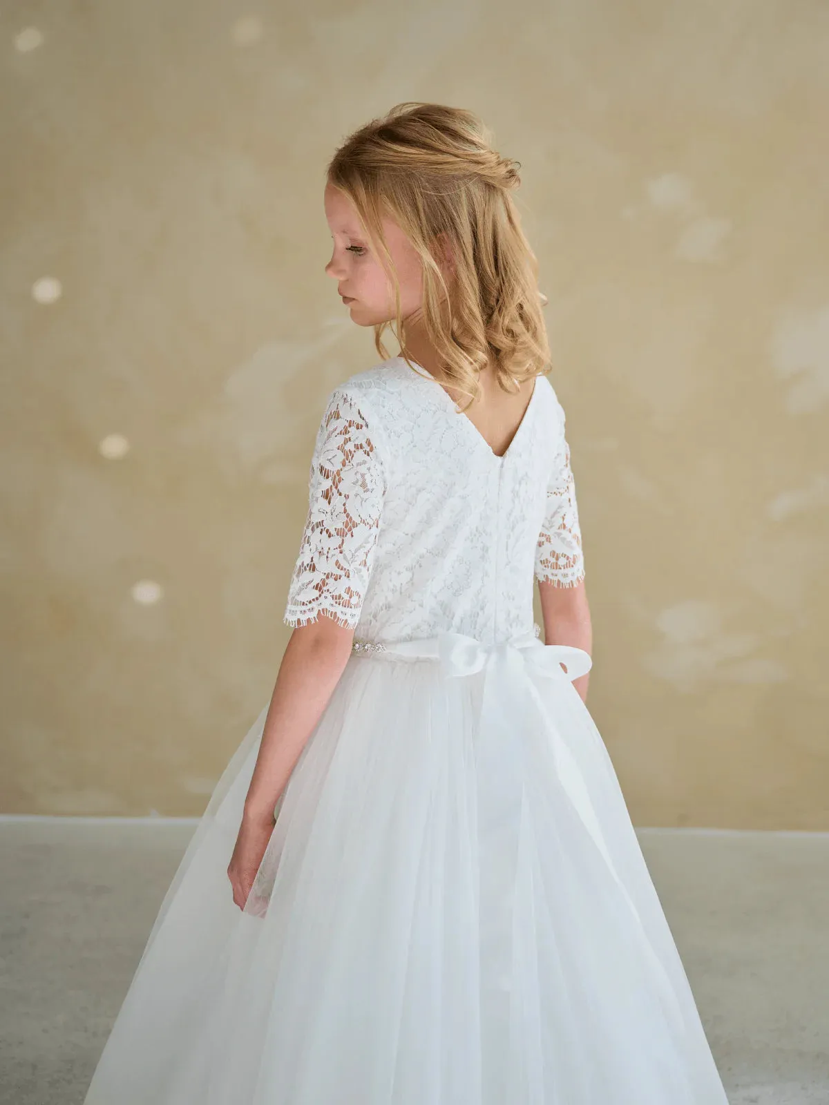 Lace Sleeve Tulle Dress 906
