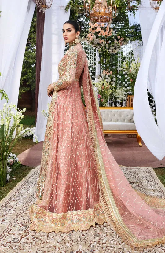 Pink Pakistani Multi Colored Heavily Embellished Pishwas Wedding Dress