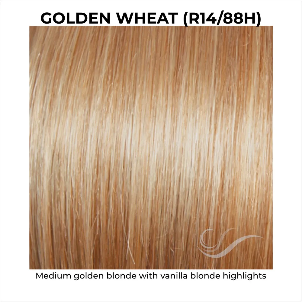 Salsa by Raquel Welch (Basic Cap Wig)