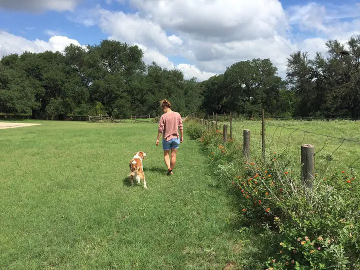 Shop Shirt | Side By Side | Ballad of the Bird Dog
