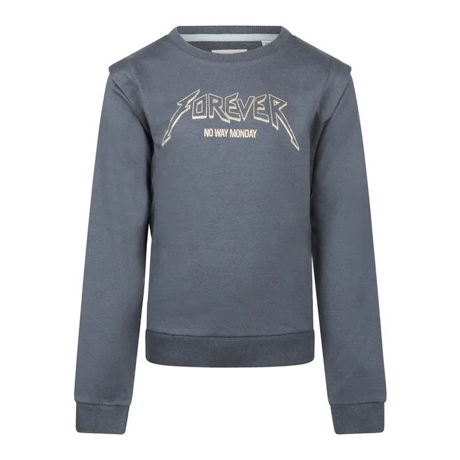 Youth Girls Long Sleeved Sweatshirt with Glitter Graphic: Size 8 to 14